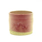 Silky Pink Sand Cup